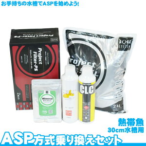 ASP 芷Zbg Mыp y30cmz ANAE  pi 啝ɏȂ  S oNeA JL tB^[  ANAE pi