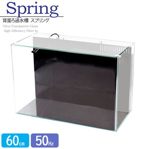 水槽 60cm 背面ろ過水槽【60×30×40cm 52L】スプリング R600 水槽セット 60cm水槽 アクアシステム ろ材 フィルター 水槽 ガラス 蓋付き ガラスフタ 蓋受け 保護マット付き ガラス厚6mm 熱帯魚 金魚 メ