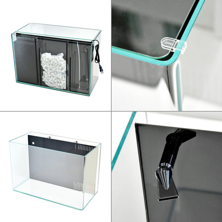楽天市場】水槽 60cm 背面ろ過水槽【60×30×40cm 52L】スプリング R600 
