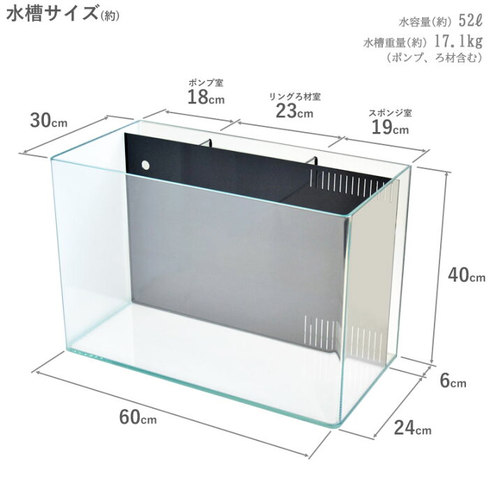 楽天市場】水槽 60cm 背面ろ過水槽【60×30×40cm 52L】スプリング R600  