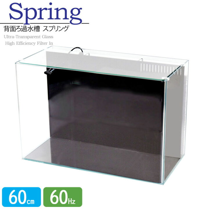 楽天市場】水槽 60cm 背面ろ過水槽【60×30×40cm 52L】スプリング R600 