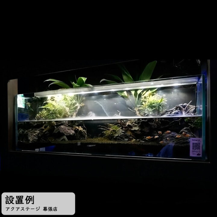 楽天市場 アクアステージオリジナル Aspセット 熱帯魚用 クリスティ1s Led セット内容 水槽 照明 ろ過材 フィルター ヒーター 水温計 フード 水質調整剤4点セット アクアステージ 楽天市場 アクアステージオリジナル Aspセット 熱帯魚用 クリスティ1s Led セット内容 水槽 照明 ろ過材 フィルター ヒーター 水温計 フード 水質調整剤4点セット アクアステージ