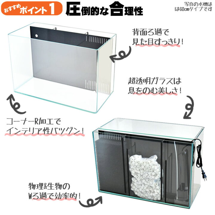 楽天市場】水槽 33cm 背面ろ過水槽 【33×33×36.5cm 28L】スプリング 