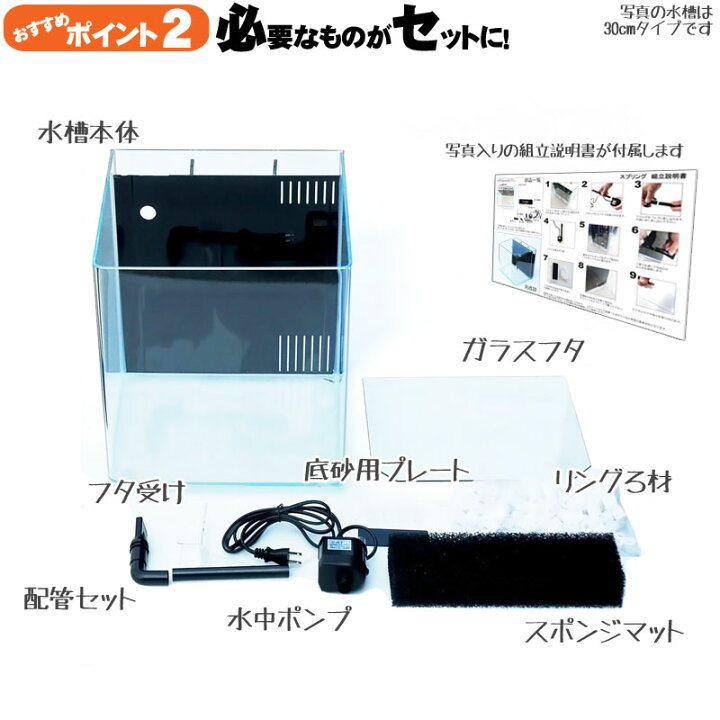 楽天市場】水槽 45cm 背面ろ過水槽 【45×30×40cm 39L】アクアシステム 