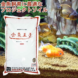金魚王子 プロジェクトソイル 【8L】ソイル 水槽 水槽用品 底砂 用品 金魚 高級金魚 熱帯魚 飼育 水質管理 ろ過 水槽 白 濁り アクアリウム 用品 水槽岩 装飾 玉石 砂利 底砂 用品 アクアシステム