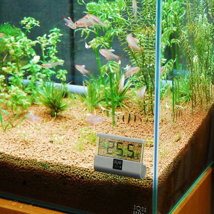 楽天市場 アクアシステム アクアリウムサーモメーター New 水槽の水温上昇対策に 水温計 水槽 温度計 金魚 熱帯魚 水温計 水槽 温度計 アクアステージ