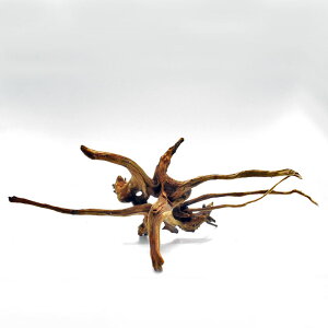  }󗬖(u`Ebh)yI_ziԍ:bok-254 34cmAs 15cmA 13cm