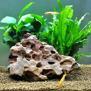  3Zbg (`󂨂܂) VR  CAEg ANAE pi