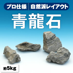 `󂨔C  VR΃Zbg  CAEgf 60cm p ɂ߁I  gݍ킹 5kg ANAE pi