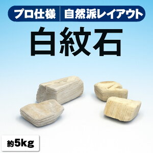 `󂨔C  VR΃Zbg  CAEgf 60cm p ɂ߁I  gݍ킹 5kg ANAE pi