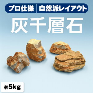形状お任せ 灰千層石 天然石セット 送料無料 レイアウト素材 60cm 水槽用 におすすめ! お買い得 組み合わせ 5kg アクアリウム 用品