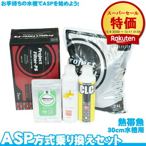 ASP 芷Zbg Mыp y30cmz ANAE  pi 啝ɏȂ  S oNeA JL tB^[  ANAE pi