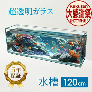 ���� 120cm �K���X�����y120×30×40cm 128L�z�N���X�e�B�v���[�� 120S 120cm���� ���� �K���X �W�t�� �t�^�󂯕t�� �ی�}�b�g�t�� �K���X��10mm �A�N�A�V�X�e�� �M�ы� ���� ���_�J ���� ������ �N��