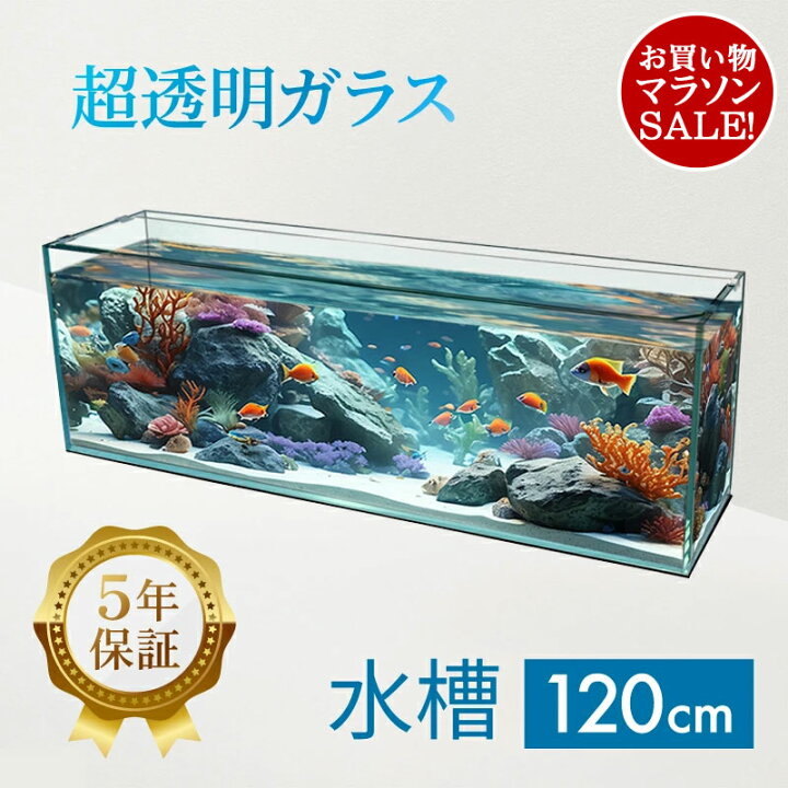 楽天市場】水槽 120cm ガラス水槽【120×30×40cm 128L】クリスティ 