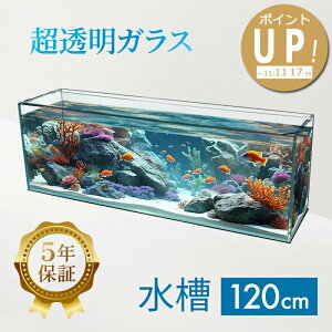  120cm KXy120×30×40cm 128LzNXeBv[ 120S 120cm  KX Wt t^󂯕t ی}bgt KX10mm ANAVXe Mы  _J   N