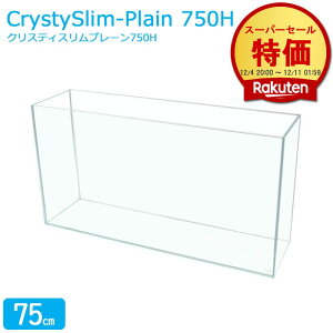  75cm KX y75×20×40cm 54Lz NXeBXv[ 750H 75cm KX Wt t^󂯕t ی}bgt KX6mm 13.9kg ANAVXe Mы    