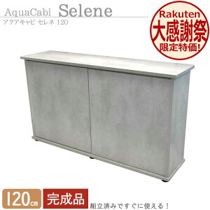 ������ 120cm ������� �g���ς݁y124×32×70cm�z�A�N�A�L���r �Z���l 120 �A�N�A�V�X�e�� ������ 120cm�����p �g���ς� �L���r�l�b�g �����X�^���h ������ ������� �X�^�C���b�V�� �嗝�Ζ͗l �O