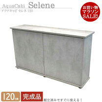 楽天市場】水槽台 120cmの通販