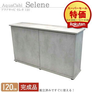  120cm  gς݁y124×32×70cmzANALr Zl 120 ANAVXe  120cmp gς Lrlbg X^h   X^CbV 嗝Ζ͗l O