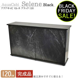  120cm  gς݁y124×32×70cmzANALr Zl (ubN) 120 ANAVXe  120cmp gς Lrlbg X^h  X^CbV 嗝Ζ͗l