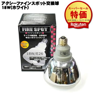 ANV[t@CX|bg (zCg) 18W ANAVXe u Mы  ߂  ANAE