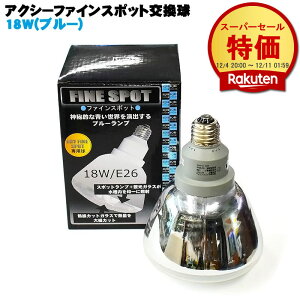 ANV[t@CX|bg (u[) 18W ANAVXe u Mы C ANAE