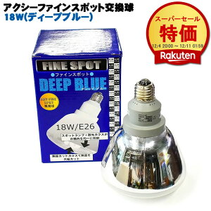 ANV[t@CX|bg (fB[vu[) 18W ANAVXe u Mы C ANAE