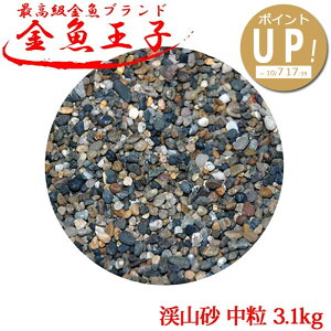  ꍻykR  3.1kgz   Mы p pi A`ECX ς ی VRʐ VRf ANAE  ʐ pi IV CAEg  
