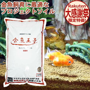 �������q �v���W�F�N�g�\�C�� �y8L�z�\�C�� ���� �����p�i �ꍻ �p�i ���� �������� �M�ы� ���� �����Ǘ� ��� ���� �� ���� �A�N�A���E�� �p�i ������ ���� �ʐ� ���� �ꍻ �p�i �A�N�A�V�X