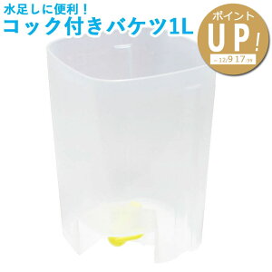 RbNtoPc 1L ANAVXe  ւ | Mы  _J ANAE piyptupz