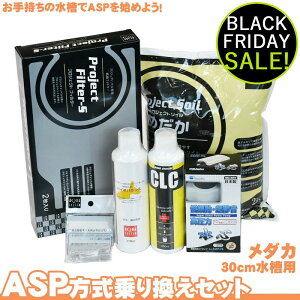 ASP 芷Zbg 30cm _Jp ANAE  pi 啝ɏȂ  oNeA tB^[ ANAE pi