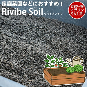 oCu\C ANAVXe \C ƒ؉ v^[ y 엿 K[fjO y ϗtA | oNeA VR 