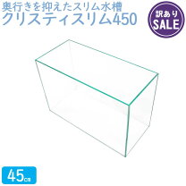 楽天市場】訳あり（水槽｜水槽・アクアリウム）：熱帯魚・アクアリウム 