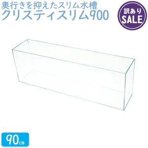 y󂠂z NXeBX900 (90×20×30cm 49L) 90cm  ^ NAKX I[KX Mы   CAEg ANAEyAEgbgz