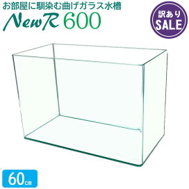 楽天市場】 当店オススメ！ > わけあり品コーナー : アクアステージ