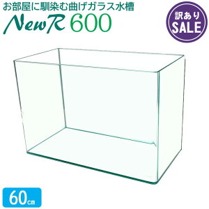 y󂠂z j[A[600 (60×30×40cm 66L) NR600 ANAVXe 60cm Mы  _J  I[KX ȂKX ANAE piyAEgbgz