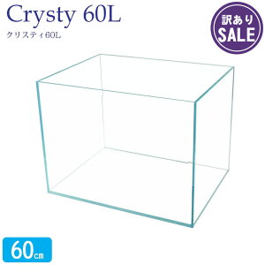 y󂠂z NXeB60L (60×45×45cm 112L) ANAVXe 60cm  NAKX I[KX Mы   CAEg ANAE pi