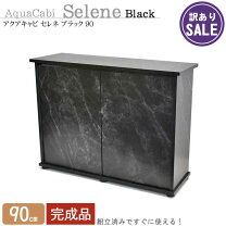 60cm 水槽用 アクア ラック シェルフ 外部 フィルター 60cm 水槽 外部フィルター の人気商品一覧・価格比較 - 価格 com