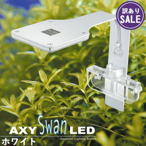 y󂠂zANV[X (AXY SWAN) LED 10W (zCg) ANAVXe ledCg Cg ANAECg  ^ y1Nۏ؁zyAEgbgz