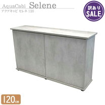 楽天市場】120cm（キャビネット・水槽台｜水槽・アクアリウム 