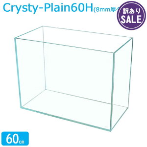 �y�󂠂�z���� 60cm �K���X�����y60×30×45cm 73L�z�N���X�e�B�v���[�� 60H (8mm�^�C�v) 60cm���� �w�� ���� �K���X �W�t�� �t�^�󂯕t�� �ی�}�b�g�t�� �K���X��8mm �A�N�A�V�X�e�� �M�ы� ���� ��