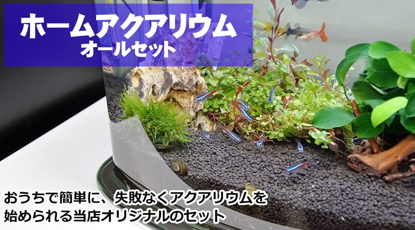 楽天市場 | アクアステージ - 水槽・ライト・アクアリウム用品の通信 
