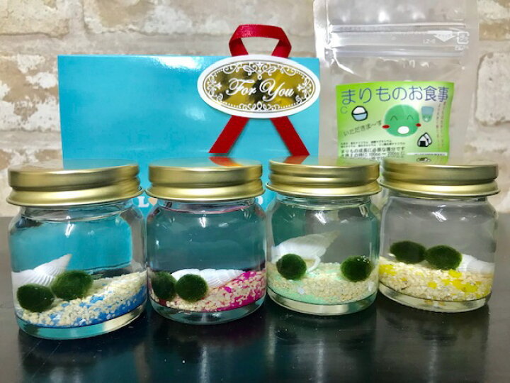 楽天市場 水草 星の砂入りまりも４色 栄養剤付きセット Aqua Sub Shop 楽天市場店