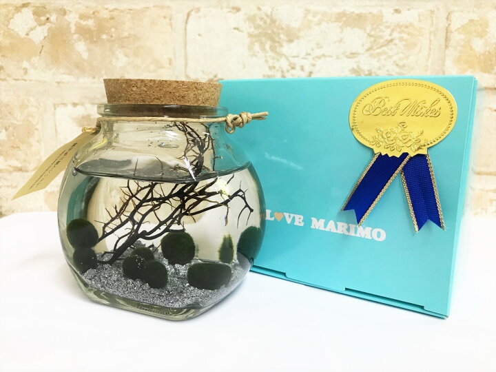 楽天市場 水草 まりも瓶太鼓コルク シルバー Aqua Sub Shop 楽天市場店