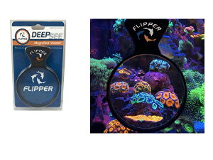 熱帯魚 アクアリウム用品 海水魚の人気商品 通販 価格比較 価格 Com