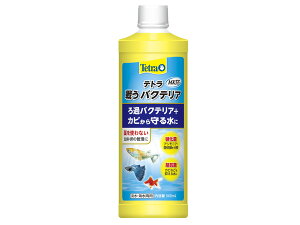 eg 키oNeA MK55 500ml(76142)