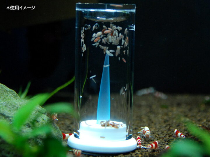 楽天市場 ｅｌｏｓ プラナリアキャッチャー 熱帯魚 アクアリウム 用品 器具 メンテナンス用品 アクアテイラーズ 楽天市場支店