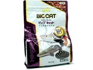 L[ ЂNXg rbOLbg 570g