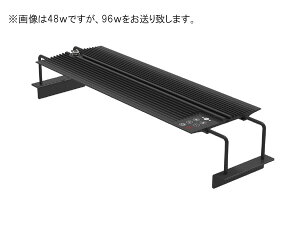 y݌ɌIIzy^iz}[tB[h NEMO LIGHT2 AF-96 (Wp)