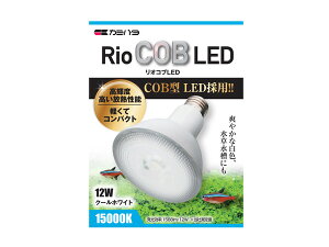 J~n^ RioCOB IRu LED N[zCg